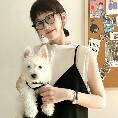 爱情合作社海报